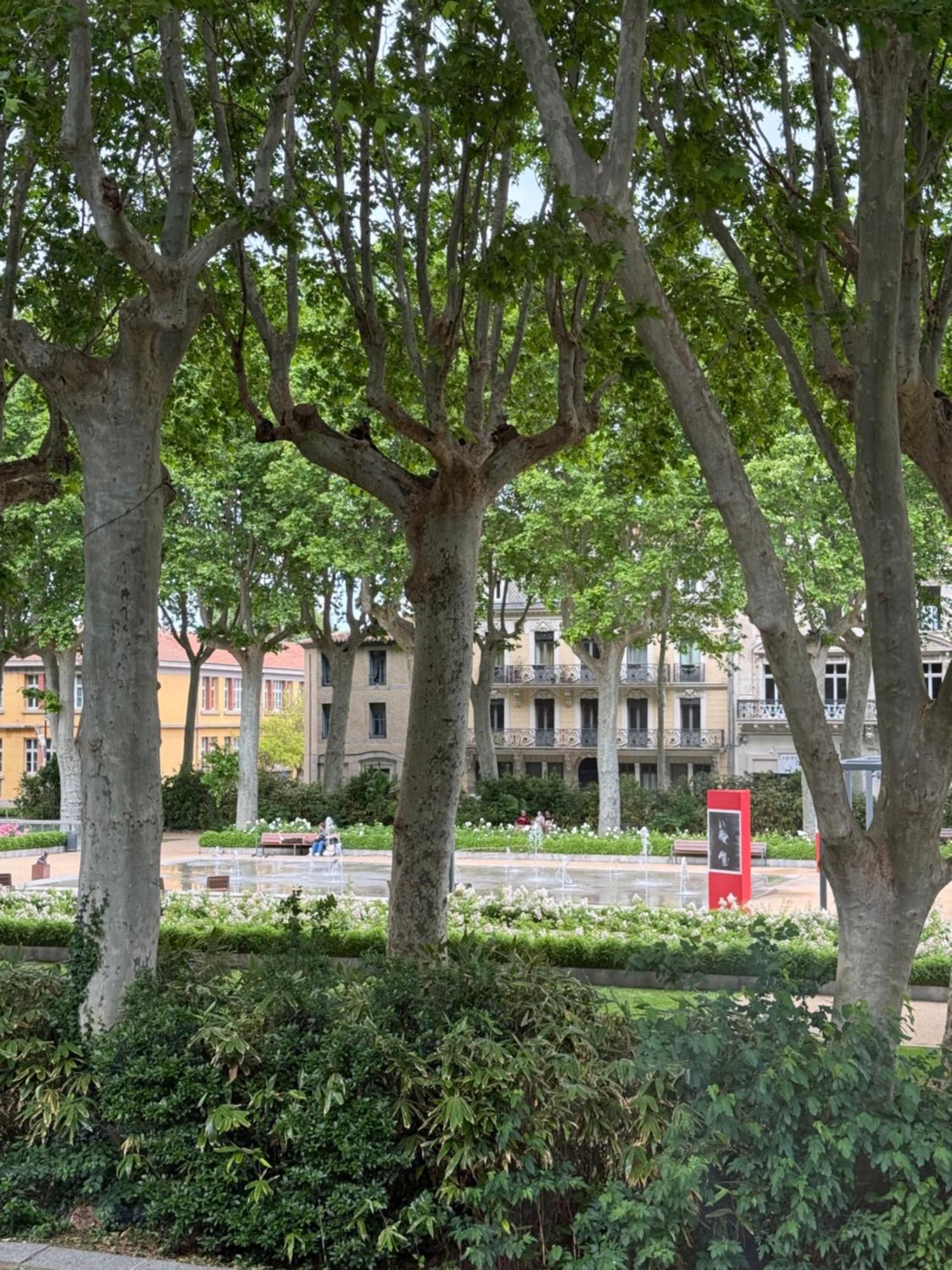 Le Carre Gambetta Apartment Carcassonne Exterior foto